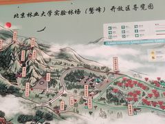 -北京鹫峰国家森林公园