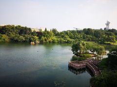 -仙林宾馆-餐厅