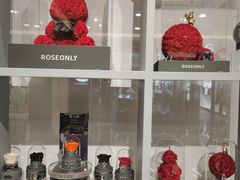 -ROSEONLY诺誓(国际广场购物中心店)