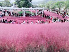 -牛岗山公园