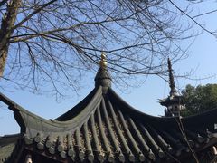 -上海佘山国家森林公园西佘山园