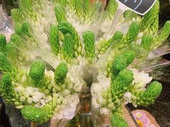 -豆豆花艺(新光天地店)