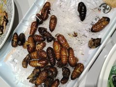 -和源祥·日照菜扛把子(万平口一店)