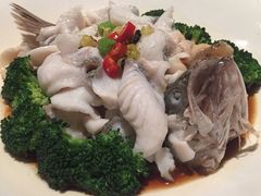 青椒鲜鲈鱼-106餐厅(山水文园店)