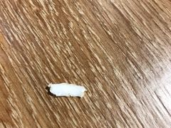 -喜茶(北京通州万达店)