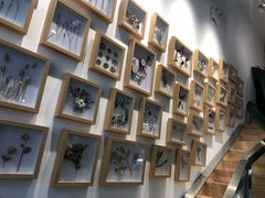 -植物学家的女儿(北马道巷店)