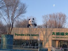 -秦皇岛野生动物园