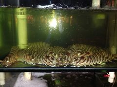 -凯华海鲜火锅·传承三十六年