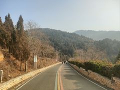 -涂山风景区
