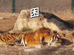 -济南野生动物世界