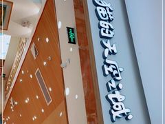 -猫的天空之城概念书店(印象城购物中心店)