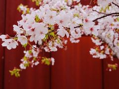 -龙美术馆(西岸馆)