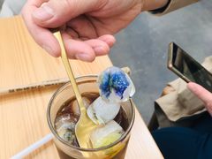 -北马山庄植趣咖啡