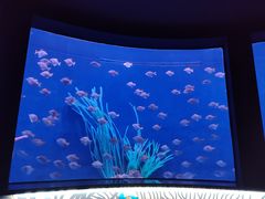 -沈阳海洋探索中心