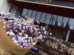 -和颐至尊酒店(上海徐家汇漕河泾店)