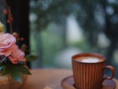 -自由生长植物工作室(深港花卉中心店)