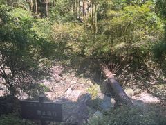 -雁荡山大龙湫景区