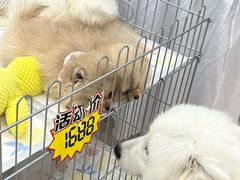 -SM城市广场(扬州店)