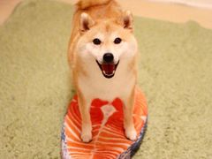 -星巴克(上海交通大学店)