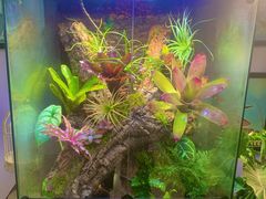 -Rabbit Cafe私房西餐甜点咖啡(栖霞路店)