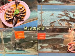 -饭怕鱼(阳光100店)