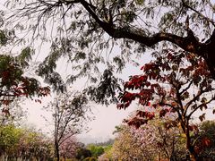 -广州莲花山旅游区
