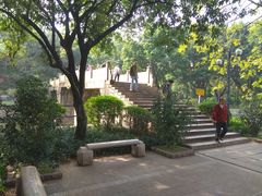 景点-晓港公园