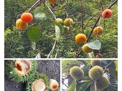 -陶祖圣境风景区