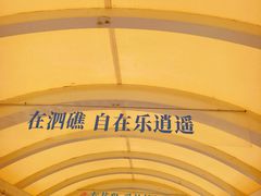 -枸杞岛
