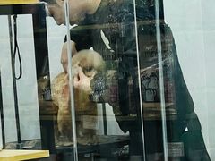 -萌小它宠物健康管理中心(怡海家园店)