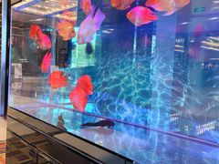 -北京西单美爵酒店