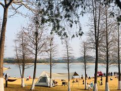 -松山湖风景区松湖烟雨