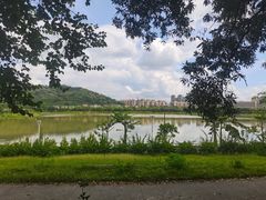 -风云岭森林公园