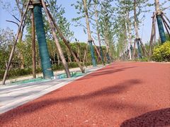 -上海滨江森林公园