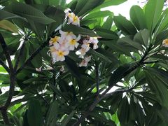 -布吉佳兆业广场