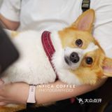 Infica Coffee 不仅咖啡好喝蛋糕好吃，氛围超棒