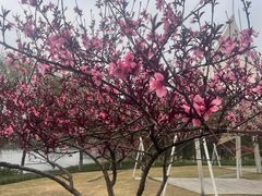 -杭州城北体育公园