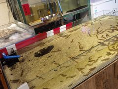 -十六蒲(桂林路店)