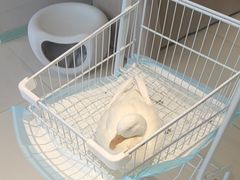 -怪兽屋·羊驼·猫咖·狗咖(俊华广场店)