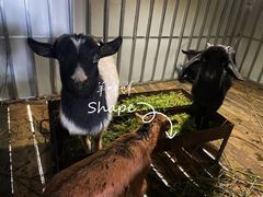 -生态园山庄(森林公园店)