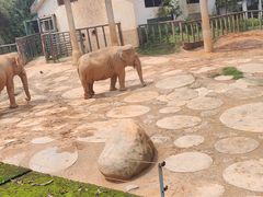 -福州动物园