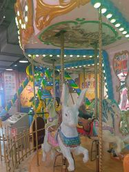 -卡通尼·Safari非洲探索乐园·生日会(金桥国际商业广场店)