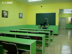 -优缇多格专业宠物美容师培训学校