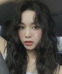 -爱维丽