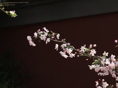 -钱王祠