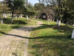 -太湖湖滨国家湿地公园-停车场