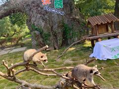 -宁波野生动物园
