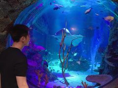 -沈阳海洋探索中心