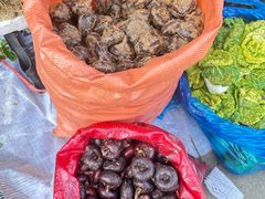 -江杨农产品批发市场