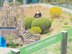 -大连森林动物园